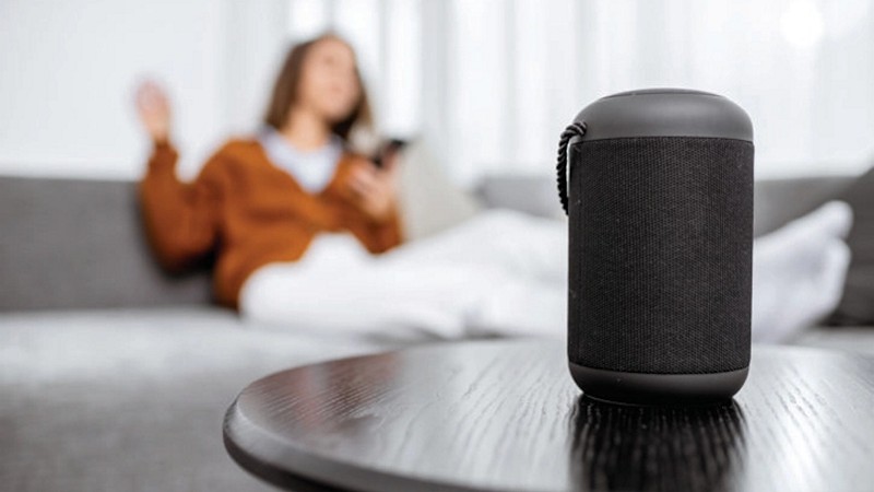 Controllo vocale dell'impianto termico con Amazon Alexa e Google Assistant.